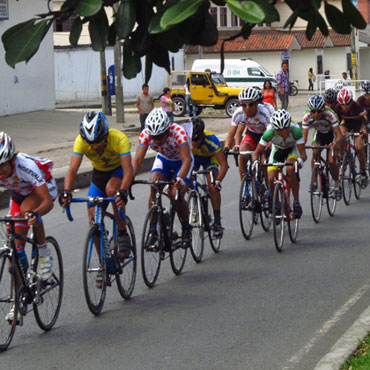 Lote ciclístico en plena acción