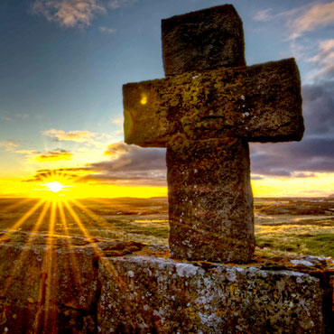 Q.E.P.D Fidel Mendoza