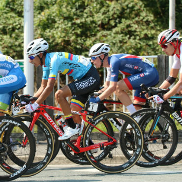 Los colombianos arribaron sin problema con el lote de los consentidos